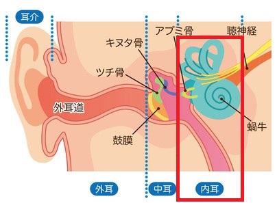 内耳炎の症状・原因・治療法