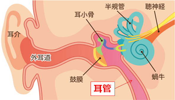 耳管開放症の症状・原因・治療法